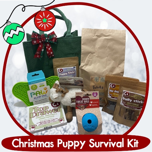 Picture of Christmas Puppy Survival Kit