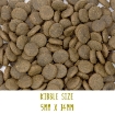 Image of Tickety Boo Sensitive Dog Food with Salmon, trout, sweet potato & asparagus kibble size