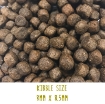 Image of Tickety Boo Puppy Sensitive puppy food with Salmon, Haddock, Sweet Potato & Asparagus for puppies kibble size
